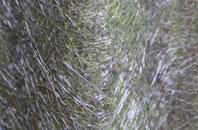 Teynham fibreglass roof work